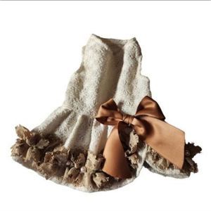 Fit warm Beautiful Puppy Dress Size Small